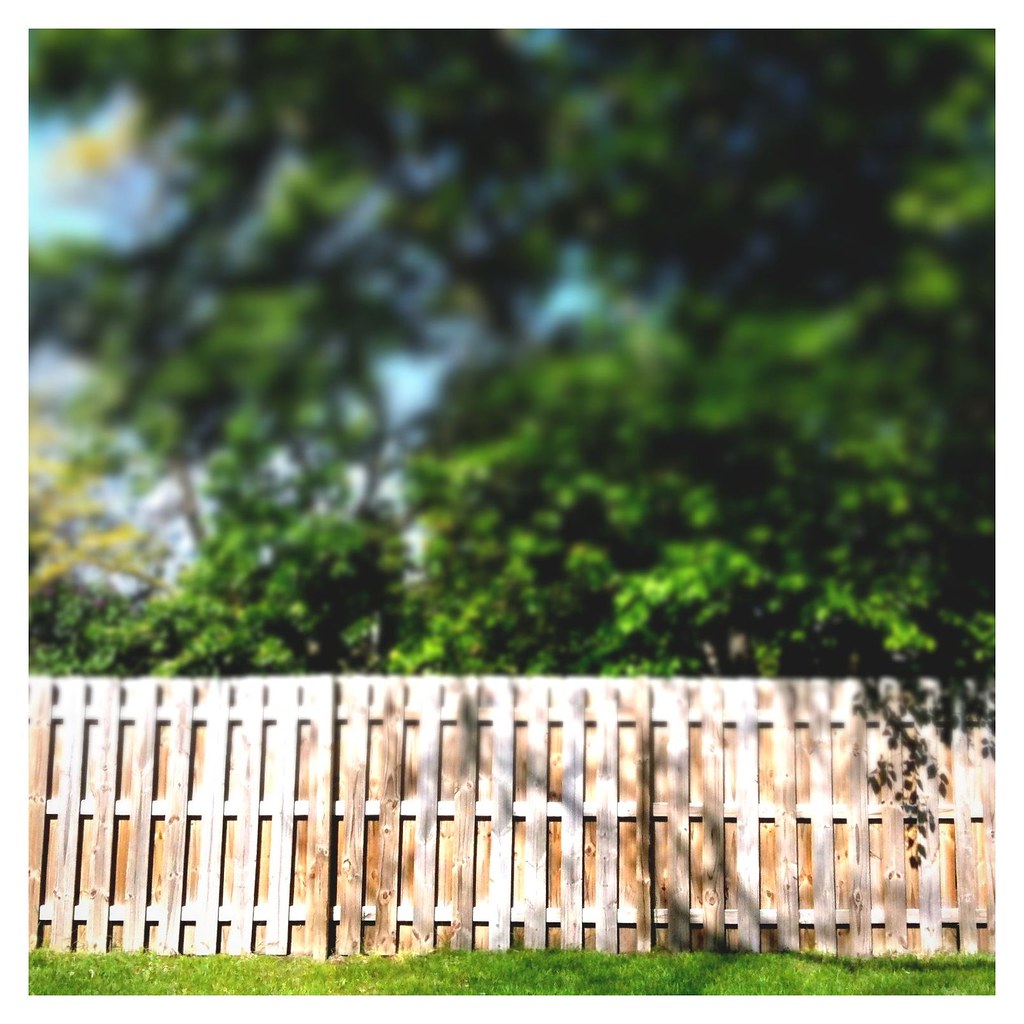 The Great Fence Debate: Why Everyone Assumes You Need One (image credits: flickr)