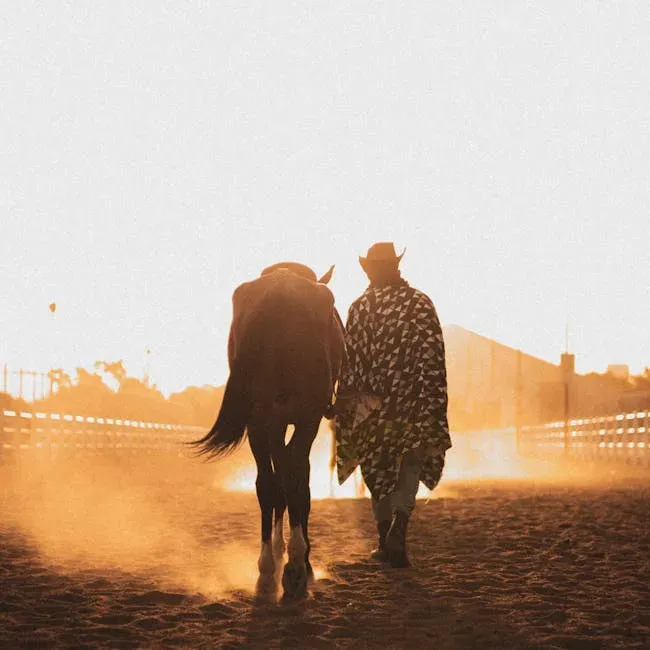 11. Lil Nas X - "Old Town Road" feat. Billy Ray Cyrus (Remix, 2019) (Image Credits: Pexels)