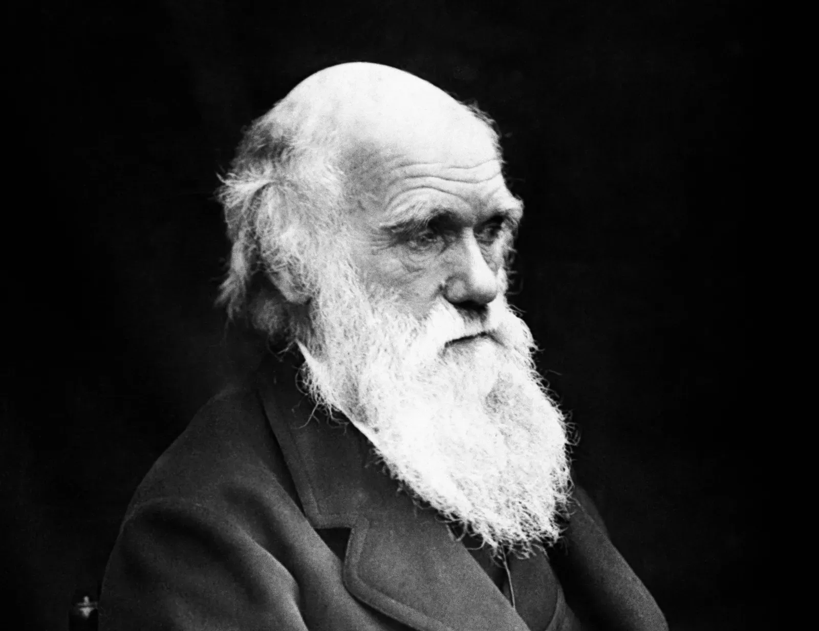 4. Charles Darwin - The Reluctant Revolutionary (Image Credits: Wikimedia)
