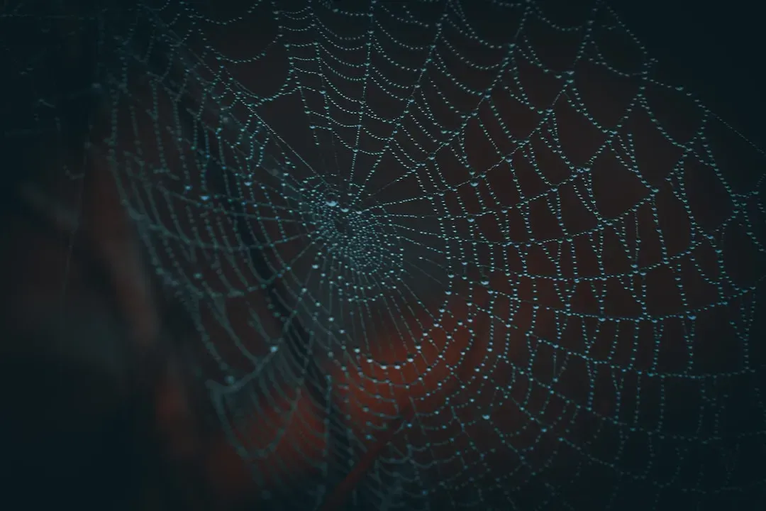 How SSNs End Up on the Dark Web in the First Place (Image Credits: Unsplash)