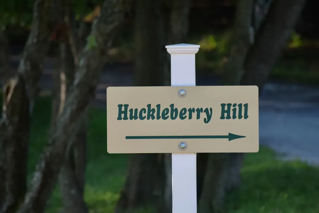 11. The Adventures of Huckleberry Finn by Mark Twain (1884) (Image Credits: Unsplash)