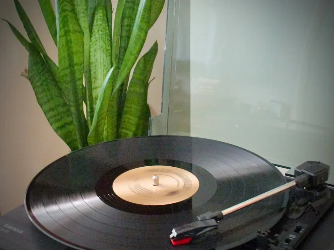 The Supply Chain Reality: More Demand Than the World Could Press (Image Credits: Unsplash)