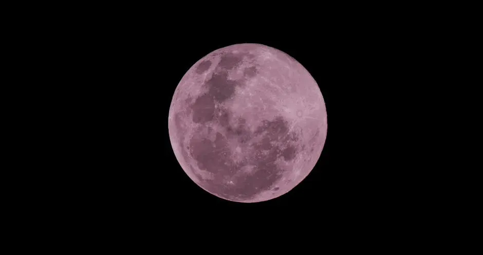 2. Nick Drake - Pink Moon (1972) (Image Credits: Pexels)