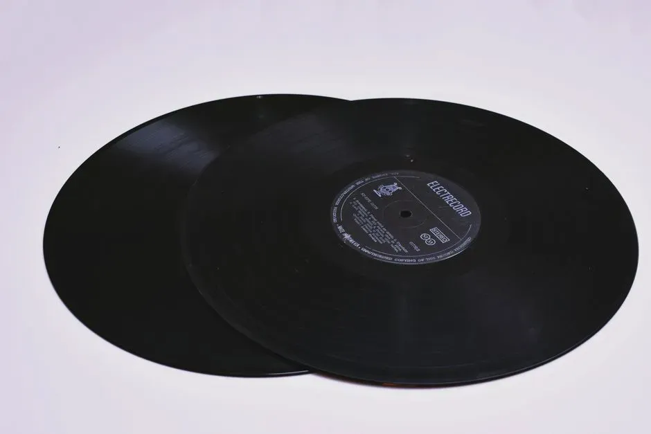 The Legacy of the Two Sided Vinyl Record (Image Credits: Pexels)