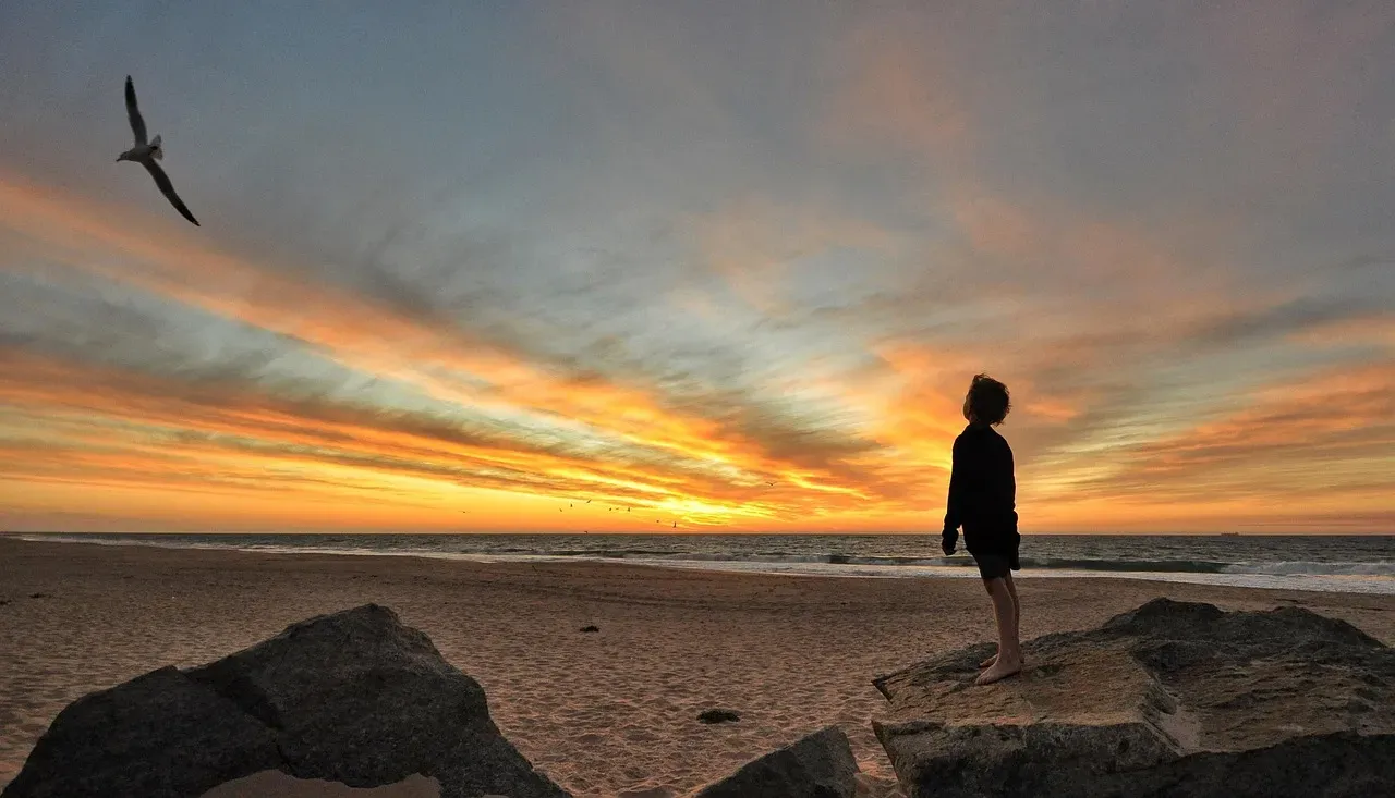 Pet Sounds by The Beach Boys (Image Credits: Pixabay)