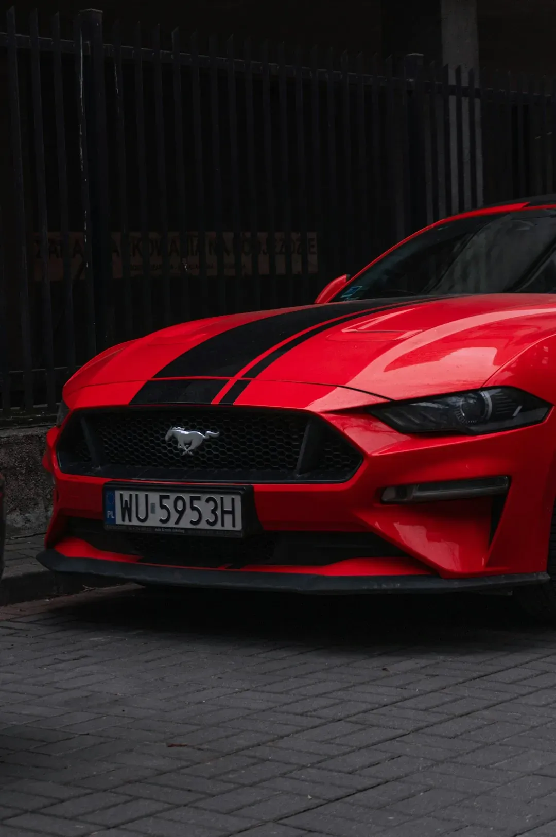 Ford Mustang GT in Bullitt (Image Credits: Unsplash)
