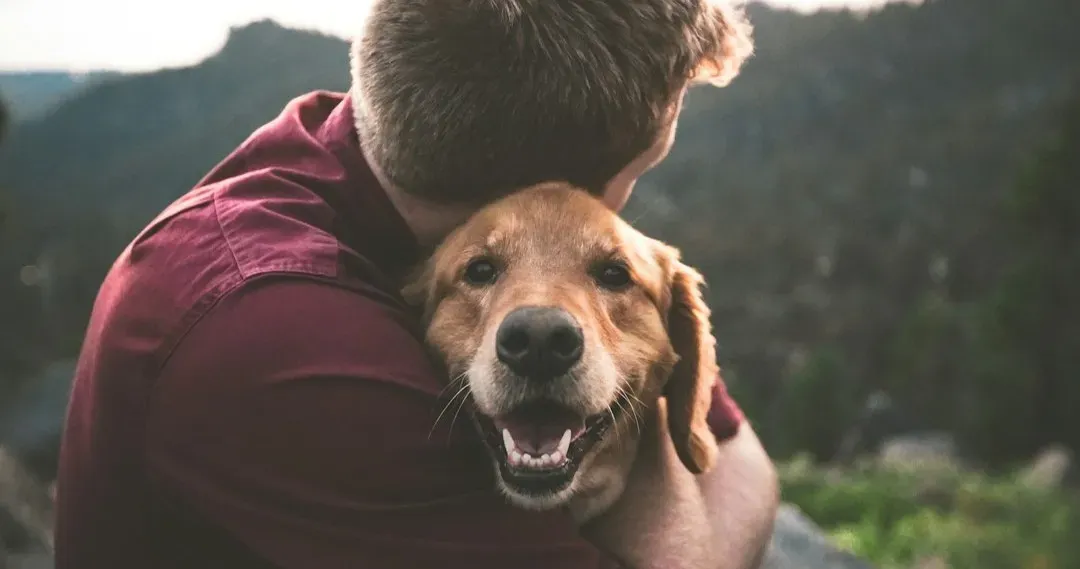 Most of the Time, It's Simply Normal Affection (Image Credits: Unsplash)