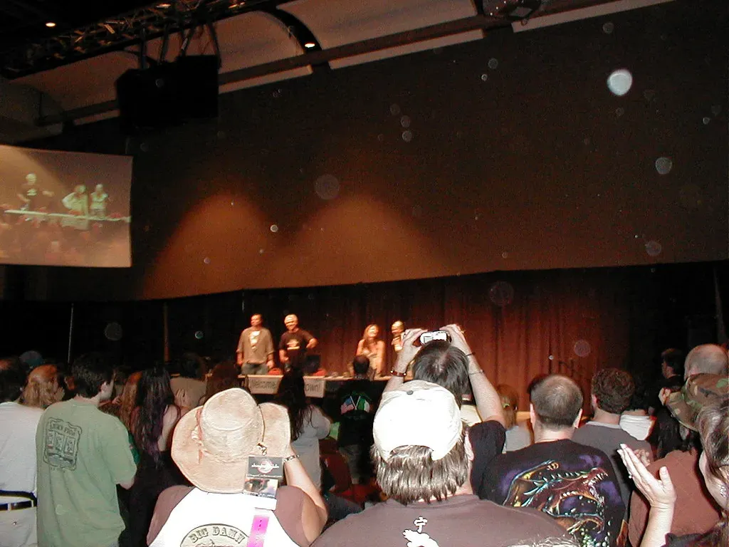 2. Firefly - A Space Western That Refused to Stay Dead (moria, Flickr, CC BY 2.0)