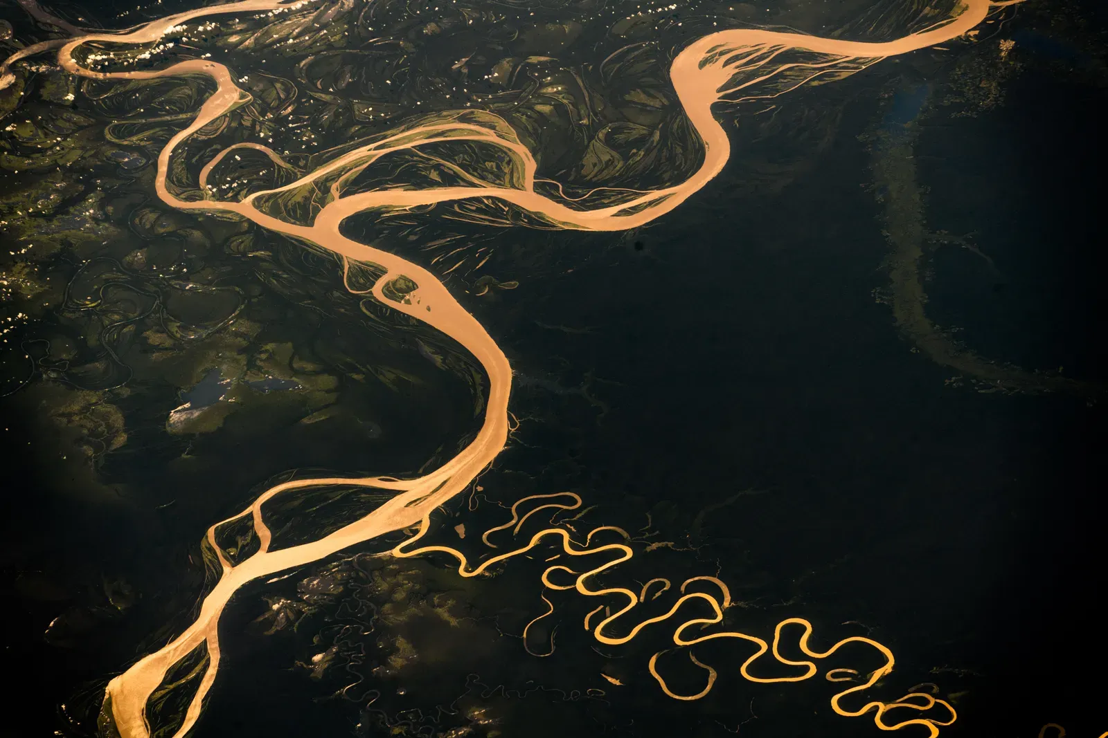 4. Lidar Exposed Cities Hidden Under the "Green Desert" of the Amazon (Flickr, CC BY-SA 2.0)