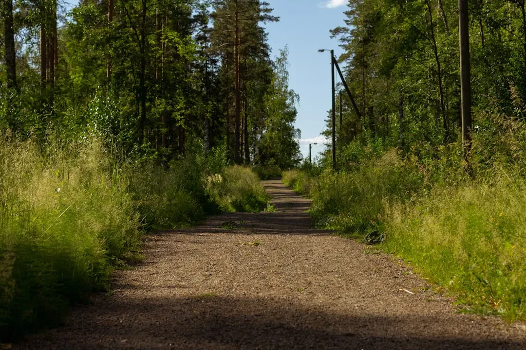 The Verdict After All Those Miles (Image Credits: Unsplash)