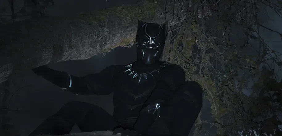4. Erik Killmonger and Wakanda's isolationism (Image Credits: Flickr)