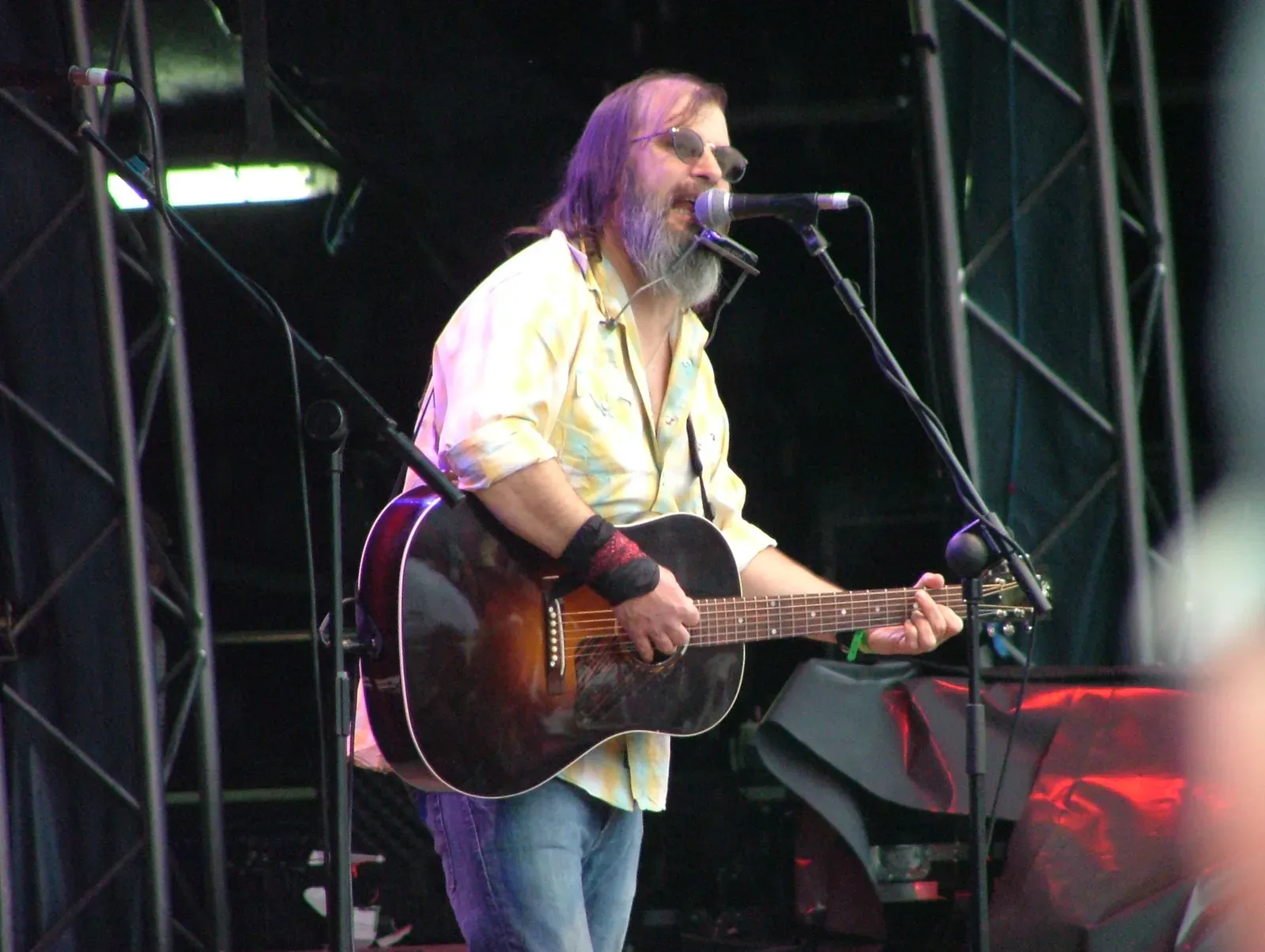 Steve Earle: The Nashville Outsider (Image Credits: Wikimedia)