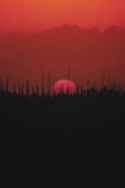6. Francis Ford Coppola - Apocalypse Now Redux (2001) (Image Credits: Pexels)