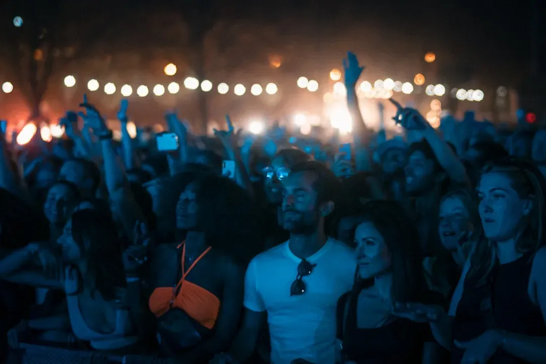 Musical Frisson: Why Goosebumps Run Through the Crowd (Image Credits: Unsplash)
