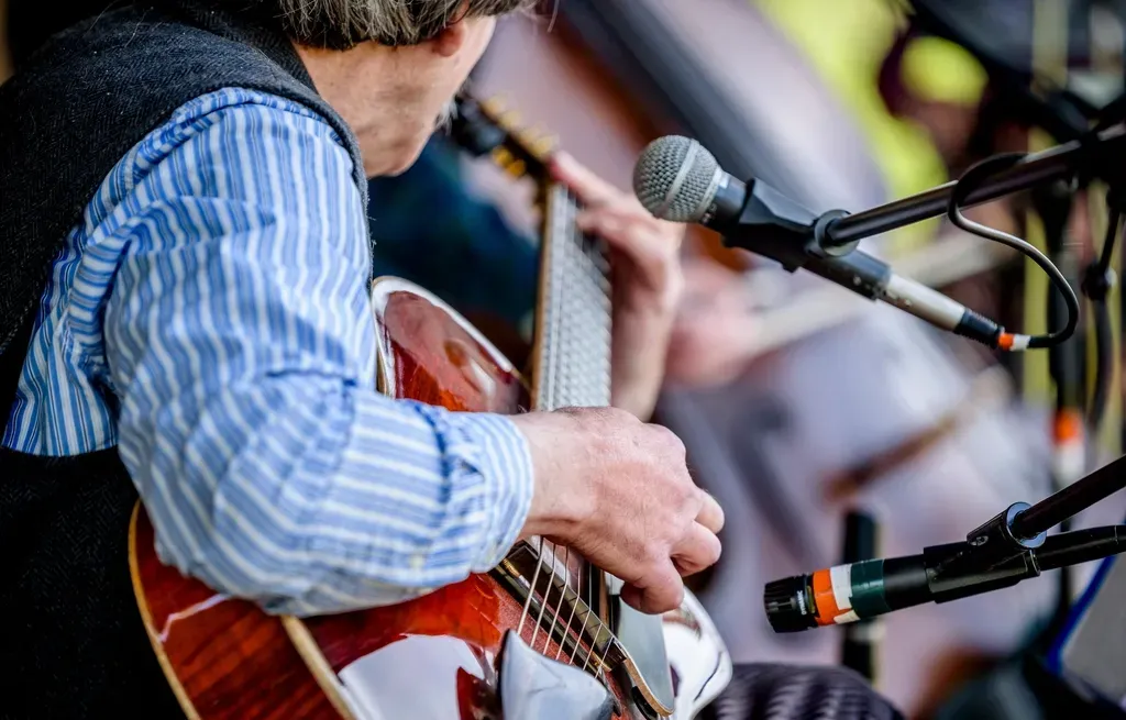 Bonnaroo Music and Arts Festival (Image Credits: Rawpixel)
