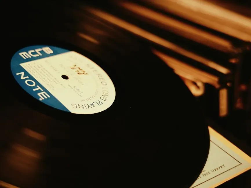 Pressing and Release Details That Marked a Record's Place in Time (Image Credits: Pexels)
