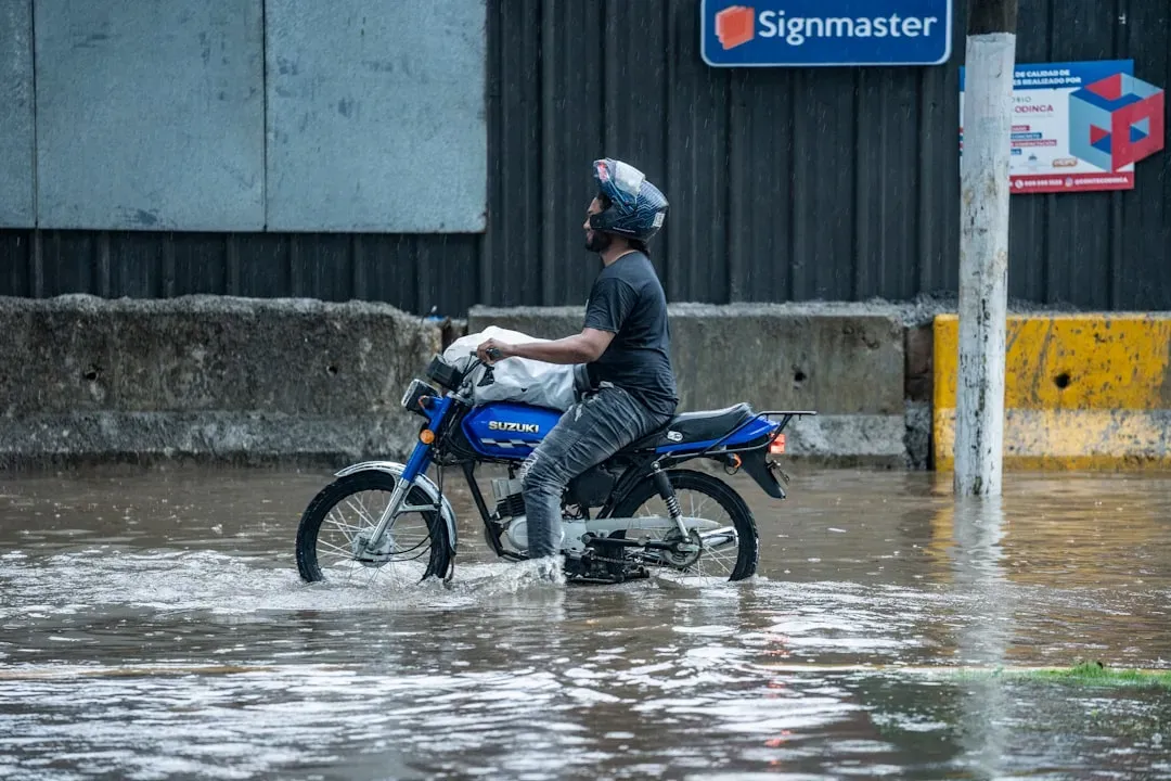 What the Financial Data Reveals About Risk (Image Credits: Unsplash)