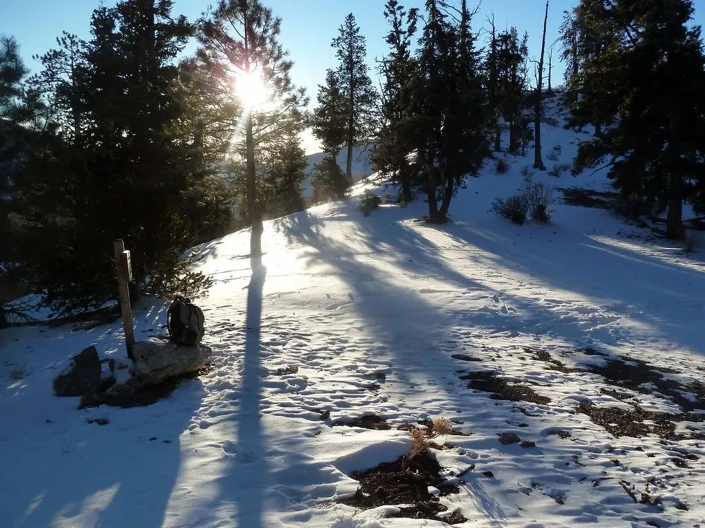 Conclusion: The Snow Day Las Vegas Never Told You About (scorpio-tiger, Flickr, CC BY-SA 2.0)