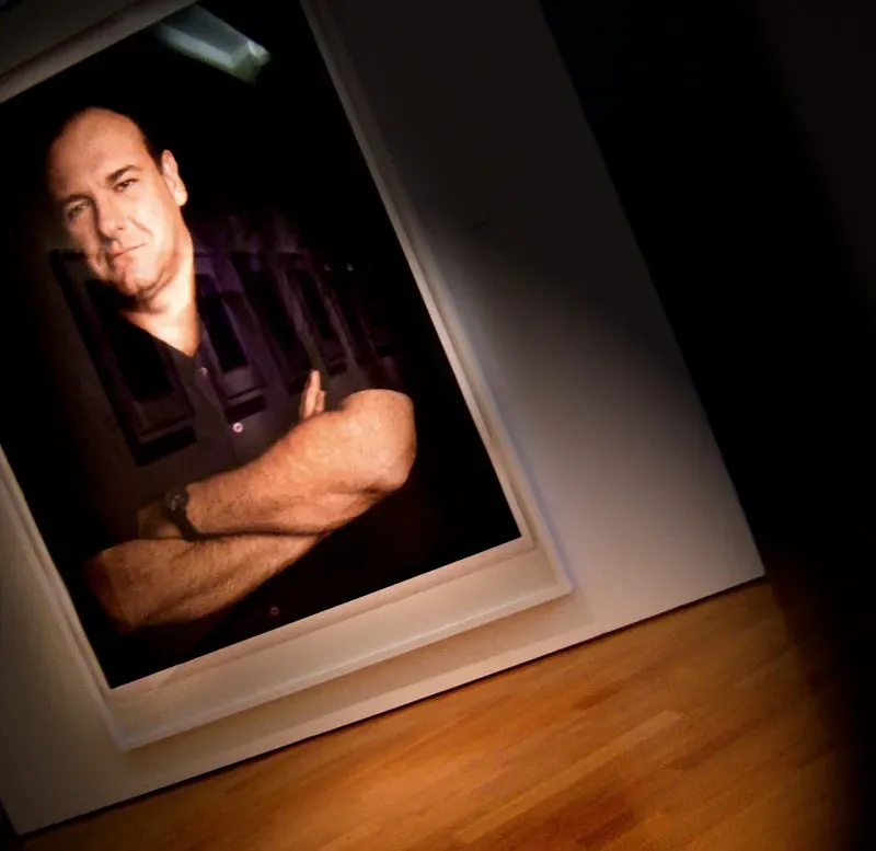 Tony Soprano - The Sopranos (Image Credits: Flickr)