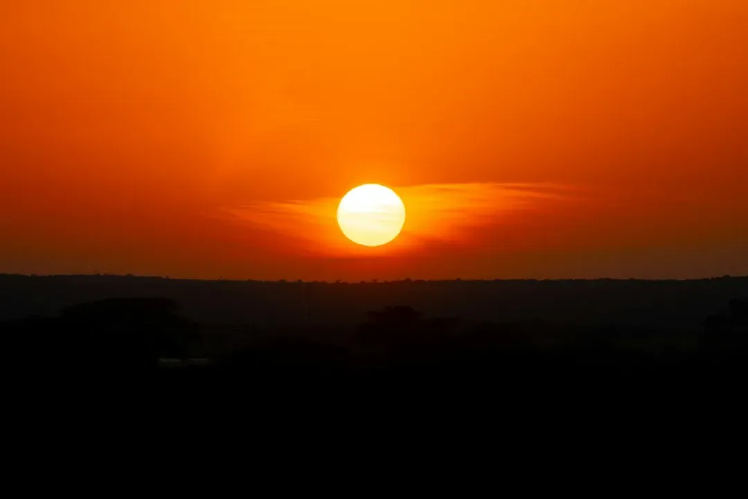 Line 8: A Chant Over the Savanna (Image Credits: Unsplash)