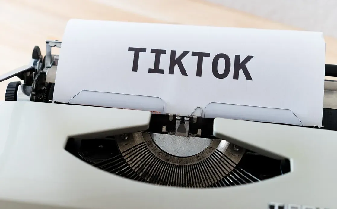 TikTok Turned Old Songs Into New Viral Moments (Image Credits: Pixabay)