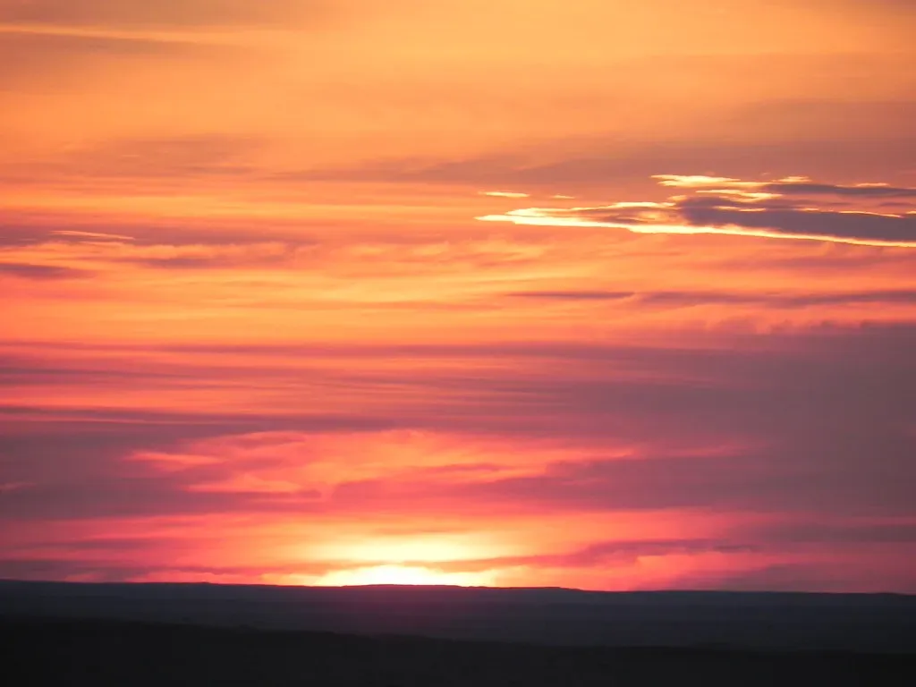 What Makes the Desert Different From Everywhere Else (Pedronet, Flickr, CC BY 2.0)