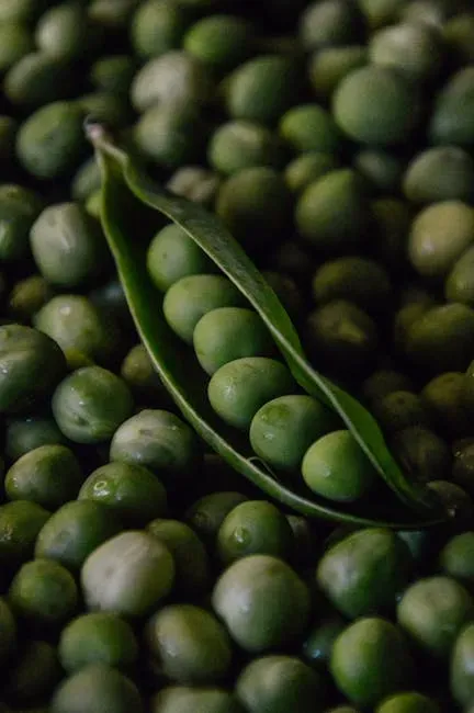 6. Mendel's Garden Peas: A Monk's Quiet Hobby That Founded Genetics (Image Credits: Pexels)