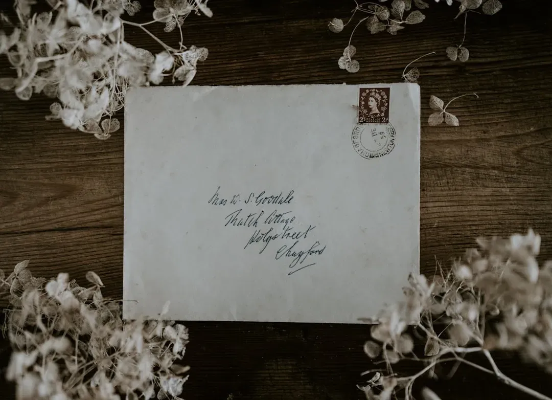 9. Febb Burn's Letter to Her Son, Harry T. Burn (1920) (Image Credits: Unsplash)