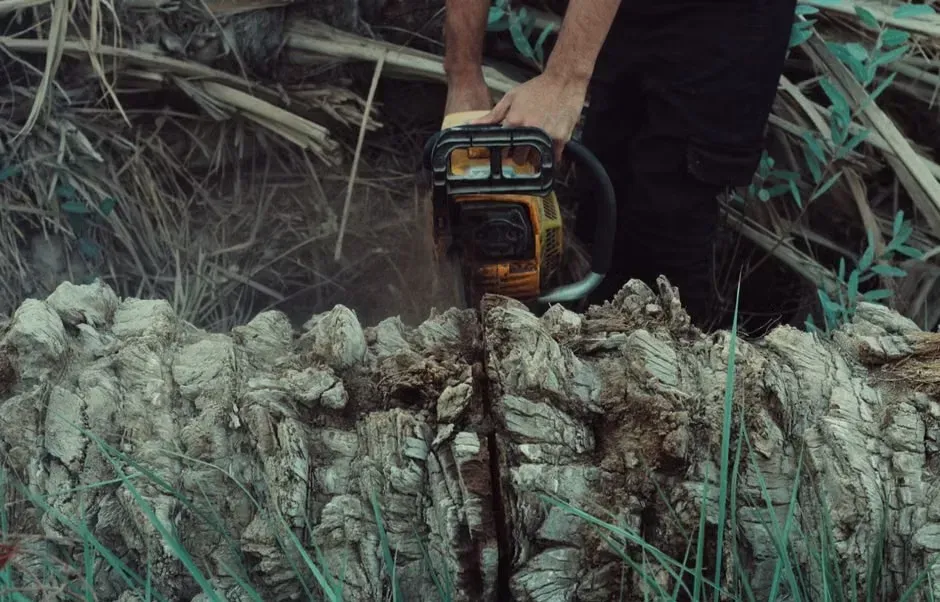 The Texas Chain Saw Massacre (1974) (Image Credits: Pexels)