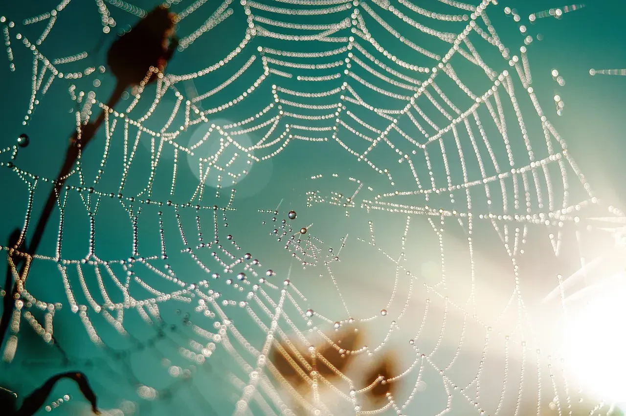 1. Madame Web (2024) (Image Credits: Pixabay)