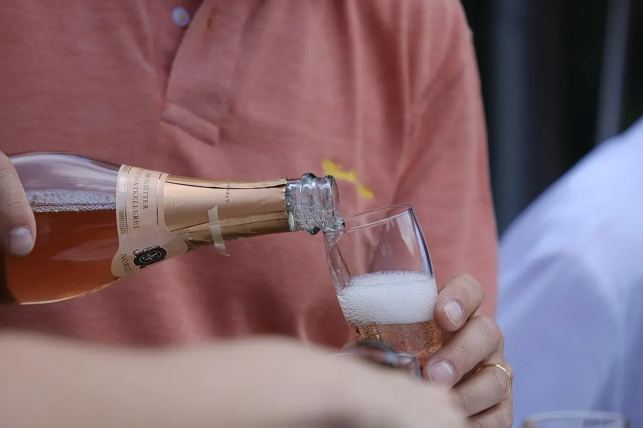 Alcohol and Substance Awareness (Image Credits: Pixabay)