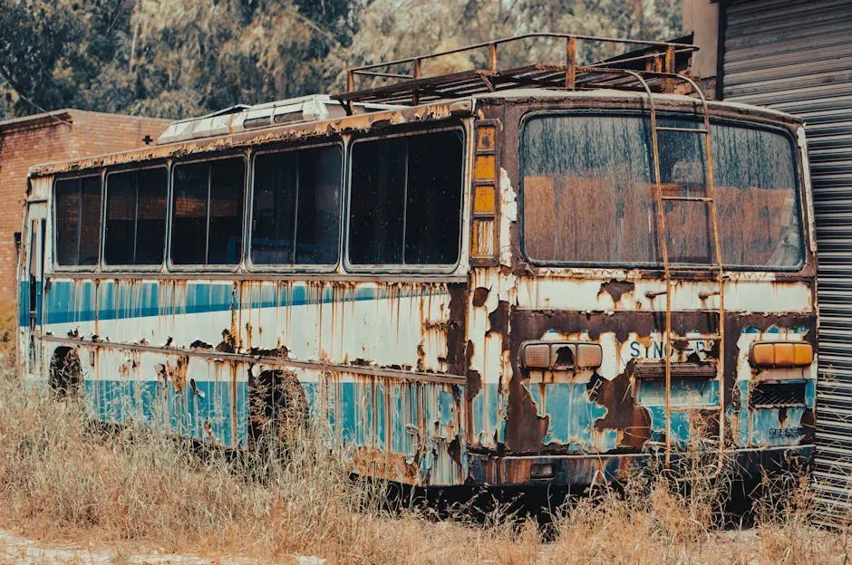 3. Into the Wild by Jon Krakauer (1996): When Adventure Becomes a Way of Life (Image Credits: Pexels)
