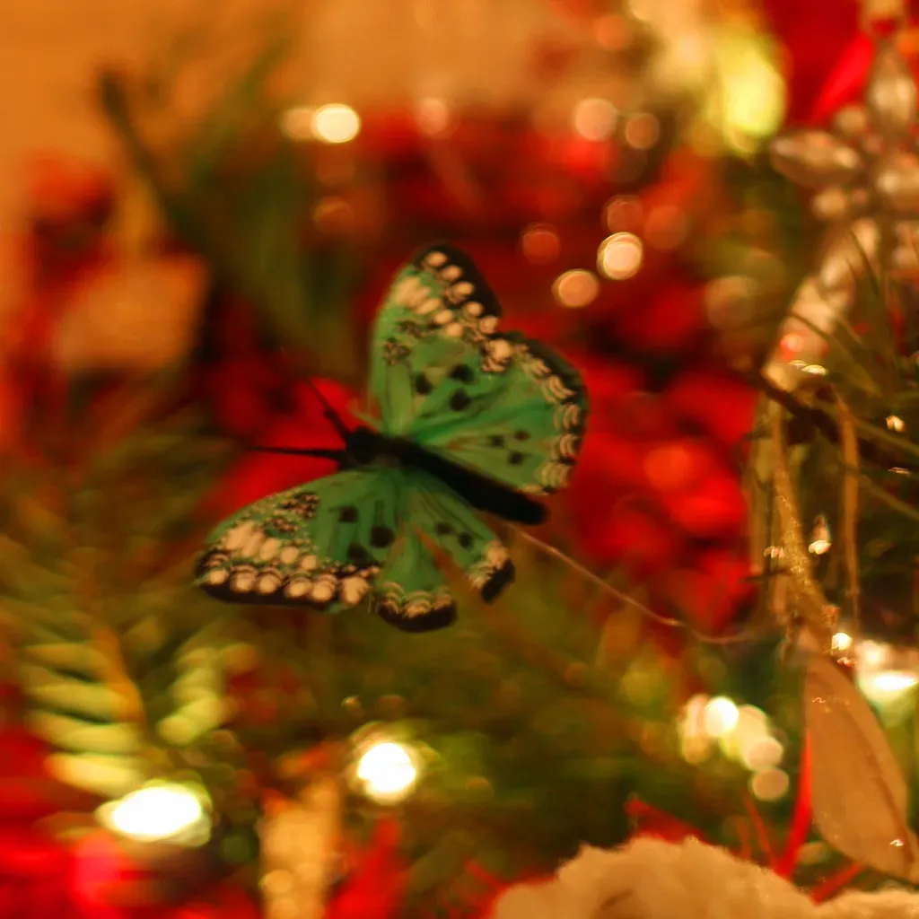All I Want for Christmas Is You (savoryexposure, Flickr, CC BY-SA 2.0)