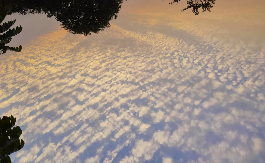 The Science of Timing: When to Show Up (Image Credits: Unsplash)