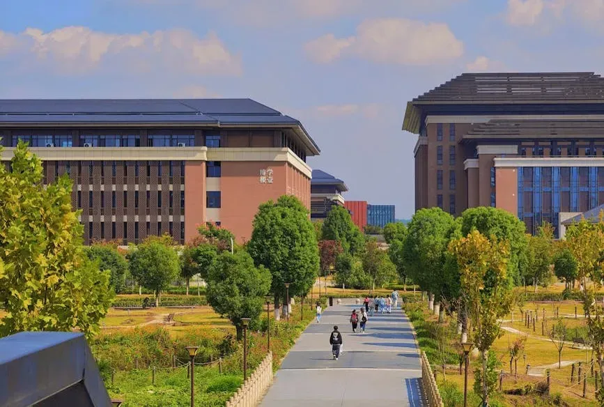 From Ancient Academies to the Modern Campus (Image Credits: Pexels)