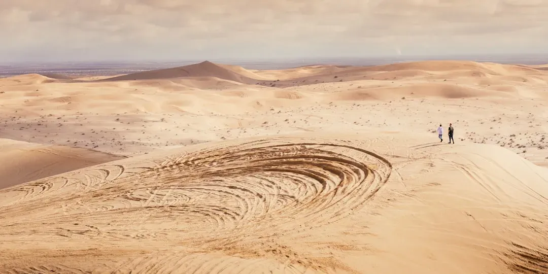 Dune by Frank Herbert (Image Credits: Unsplash)