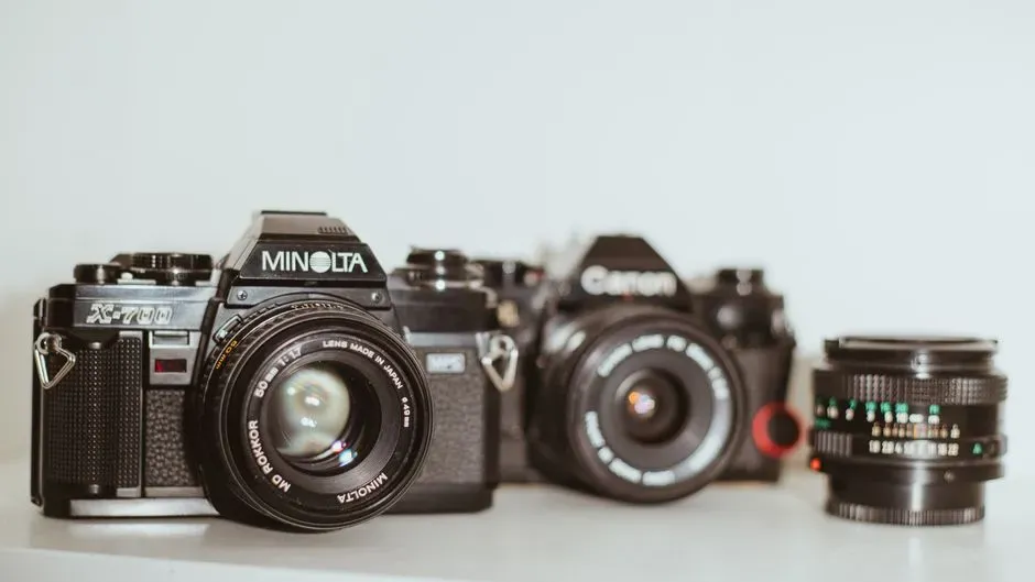 Dorothea Lange and The Grapes of Wrath (Image Credits: Pexels)