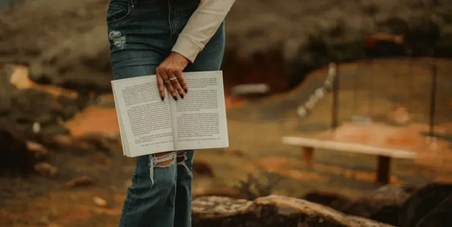 Amy's disappearance in "Gone Girl" by Gillian Flynn (Image Credits: Pexels)