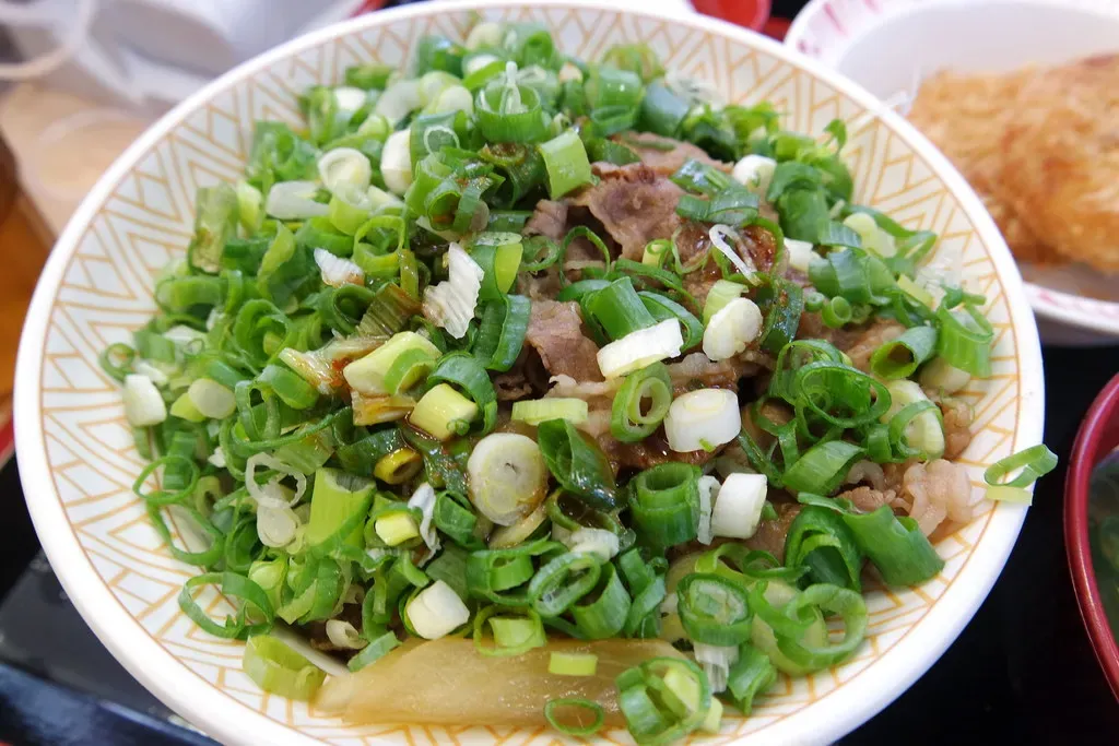 The "Smart" Calorie-Estimating Camera (YangChen(TW), Flickr, CC BY 2.0)