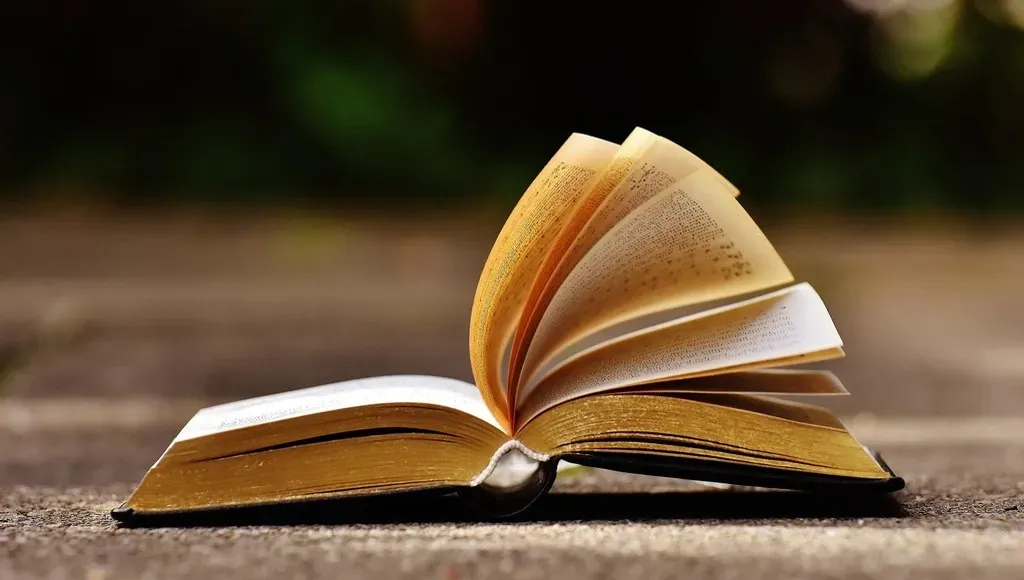 4. Jane Eyre? No: Wuthering Heights Era Alternatives, Starting with Madame Bovary by Gustave Flaubert (Image Credits: Rawpixel)