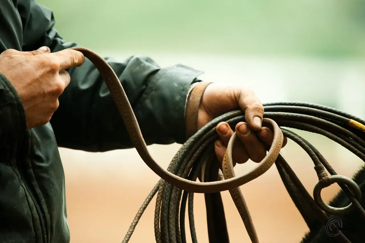Brokeback Mountain (Image Credits: Pixabay)
