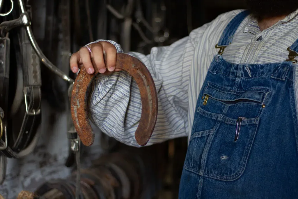 11. Horseshoes Bring Good Luck (Image Credits: Flickr)
