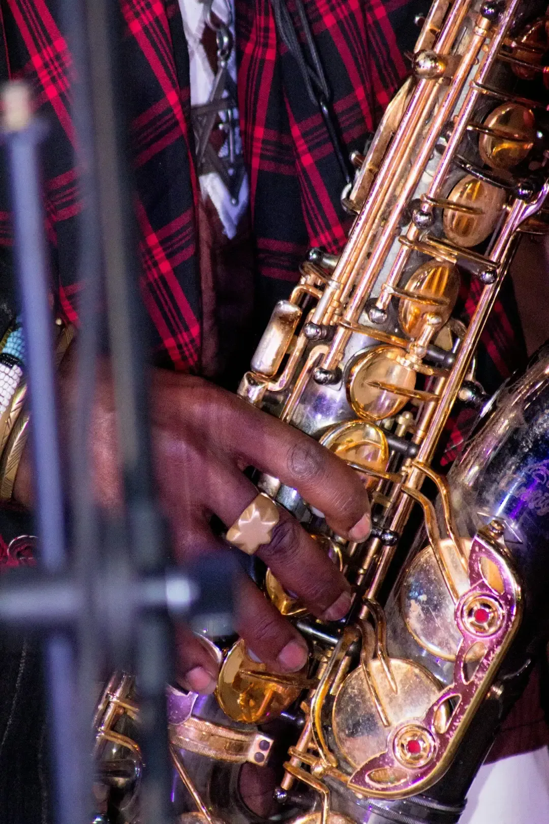 MTN Bushfire Festival: Eswatini's Sustainable Celebration (Image Credits: Unsplash)