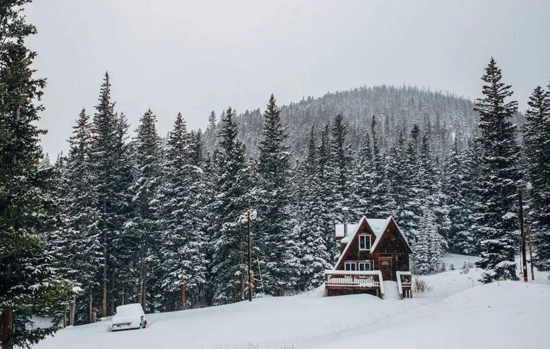 The Hateful Eight (2015) (Image Credits: Unsplash)