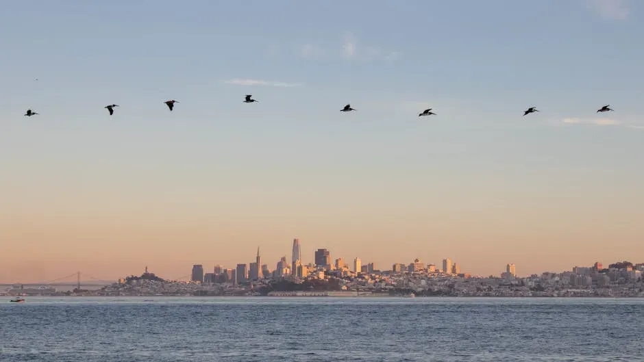 The Tax Factor: What California Takes That Others Don't (Image Credits: Pexels)