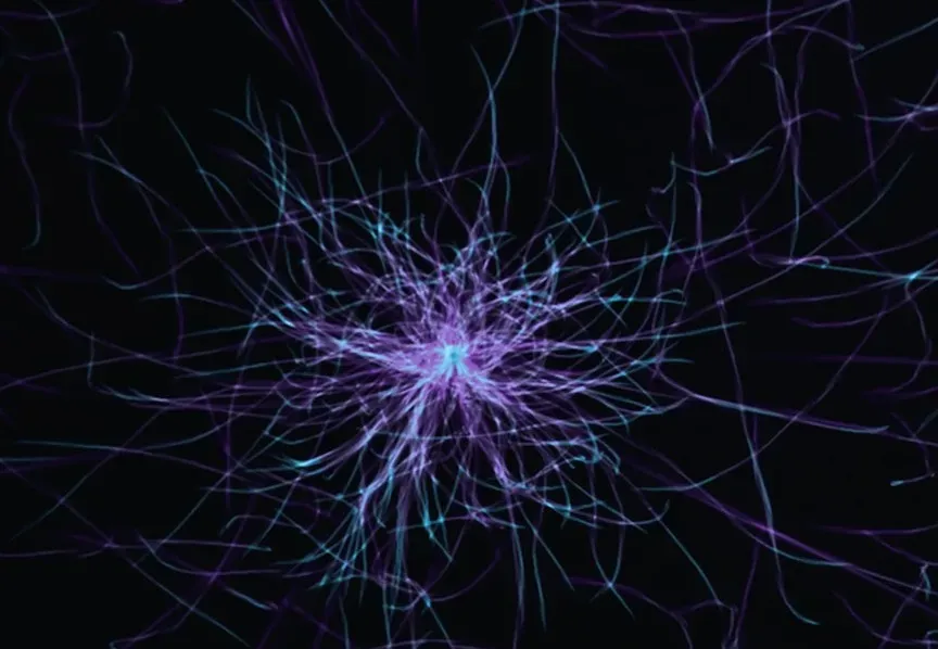 Neurons Use Multiple Learning Rules Simultaneously (Image Credits: Unsplash)