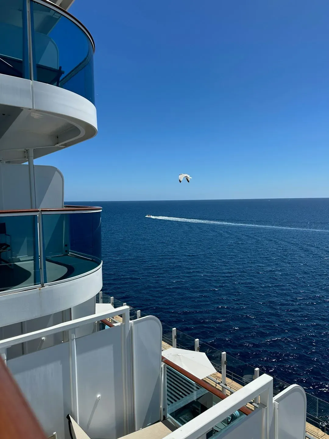 6. Throwing Items Overboard or Endangering Fellow Passengers on Balconies (Image Credits: Unsplash)