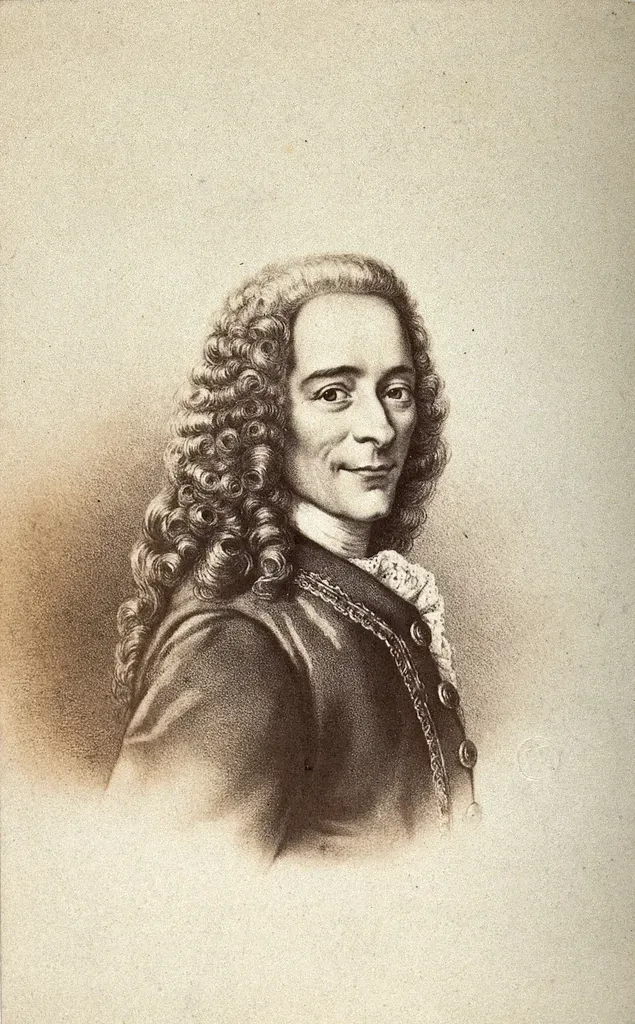 7. Voltaire – Free Speech and Defense of Rights (Image Credits: Rawpixel)