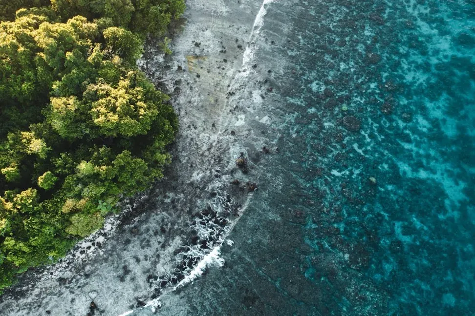 8. Wild Dark Shore by Charlotte McConaghy (Image Credits: Unsplash)