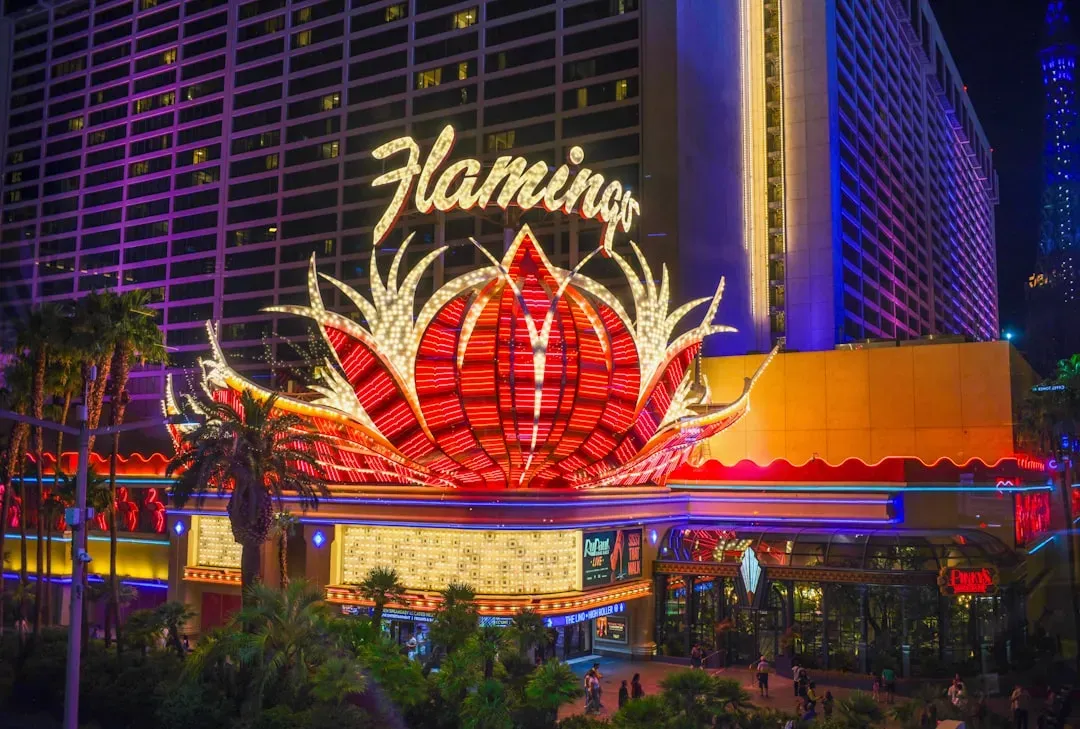 The Flamingo: Where It All Began, Sort Of (Image Credits: Unsplash)